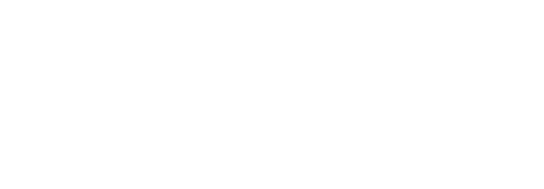 Avion Express
